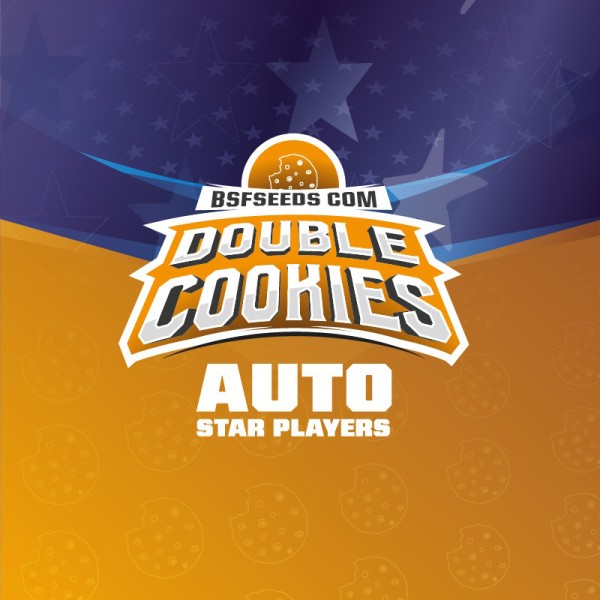 BearBush-Bear-Bush-Botanical-Collective-BSF-Seeds-Star-Players-Double-Cookies-Auto-4