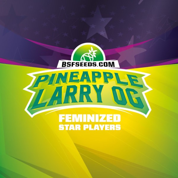 BearBush-Bear-Bush-Botanical-Collective-BSF-Seeds-Star-Players-Pineapple-Larry-OG-Fem-4