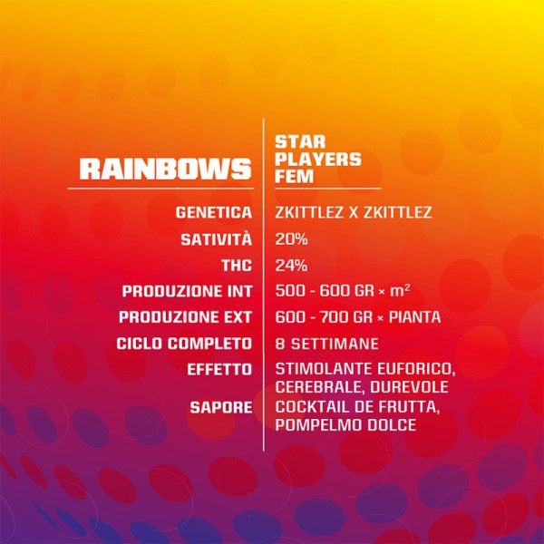 BearBush-Bear-Bush-Botanical-Collective-BSF-Seeds-Star-Players-Rainbows-Fem-3