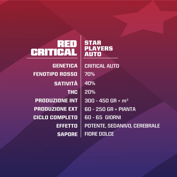 BearBush-Bear-Bush-Botanical-Collective-BSF-Seeds-Star-Players-Red-Critical-Auto-3