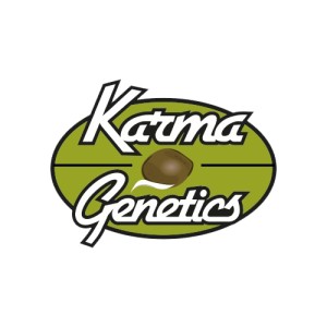 BearBush-Bear-Bush-Botanical-Collective-Karma-Genetics-Karma-Sour-Diesel-Bx2-Reg-1