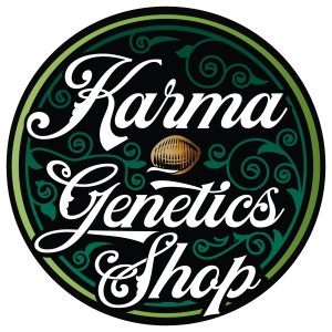 BearBush-Bear-Bush-Botanical-Collective-Karma-Genetics-Sour-Sweatband-Reg-2